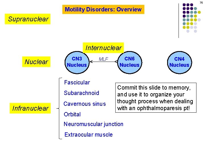 75 Motility Disorders: Overview Supranuclear CN 3 Nucleus MLF Fascicular Subarachnoid Infranuclear Cavernous sinus
