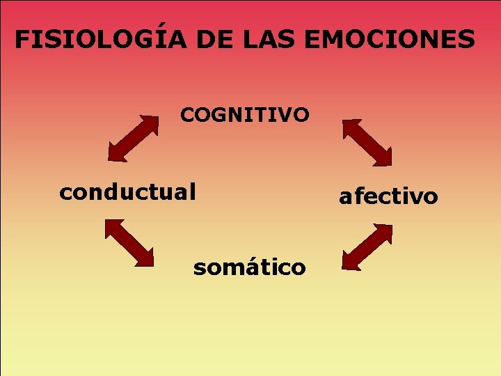 FISIOLOGÍA DE LAS EMOCIONES COGNITIVO conductual somático afectivo 