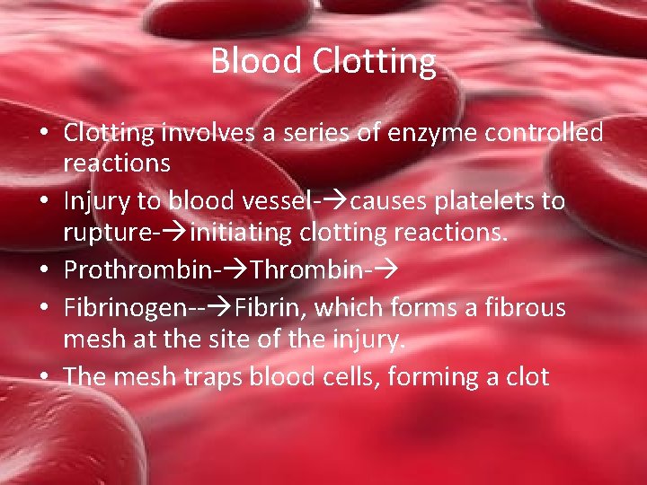 Blood Clotting • Clotting involves a series of enzyme controlled reactions • Injury to