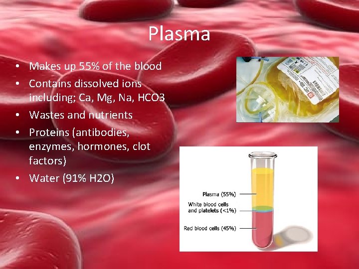 Plasma • Makes up 55% of the blood • Contains dissolved ions including; Ca,