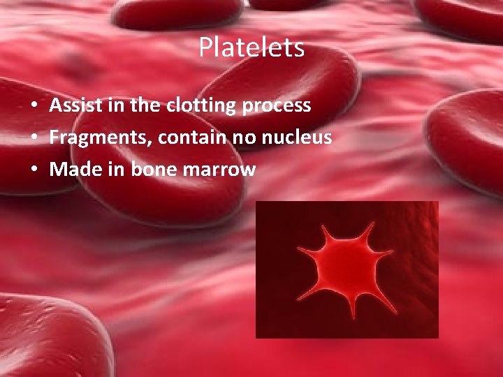 Platelets • Assist in the clotting process • Fragments, contain no nucleus • Made