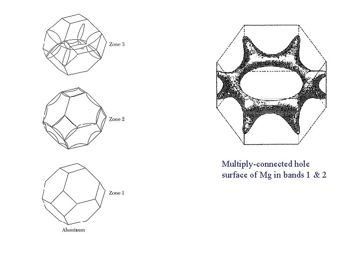 Multiply-connected hole surface of Mg in bands 1 & 2 