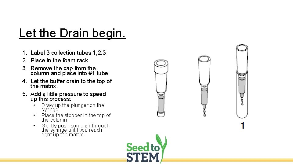 Let the Drain begin. 1. Label 3 collection tubes 1, 2, 3 2. Place