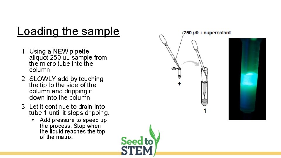 Loading the sample 1. Using a NEW pipette aliquot 250 u. L sample from