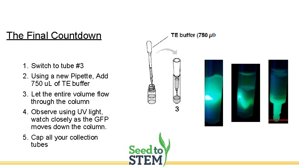 The Final Countdown 1. Switch to tube #3 2. Using a new Pipette, Add