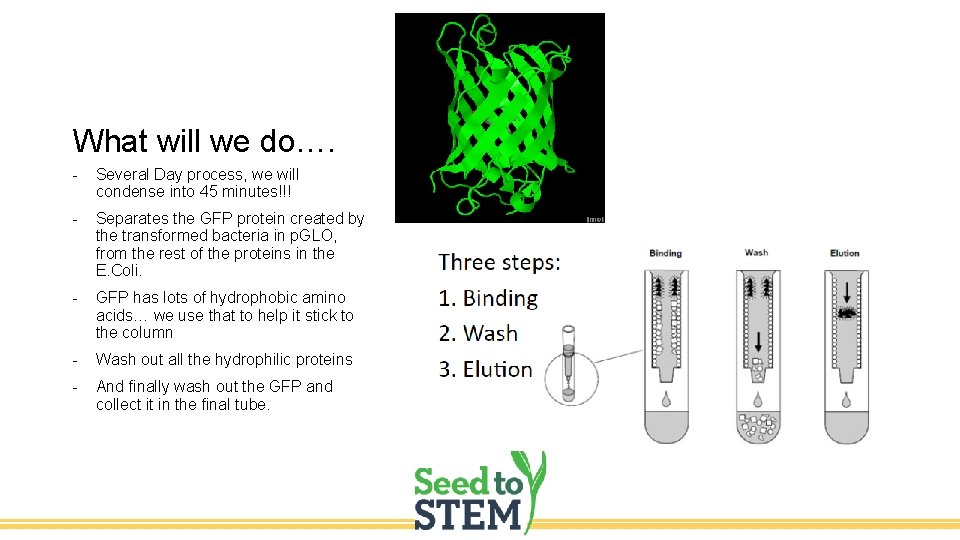 What will we do…. - Several Day process, we will condense into 45 minutes!!!