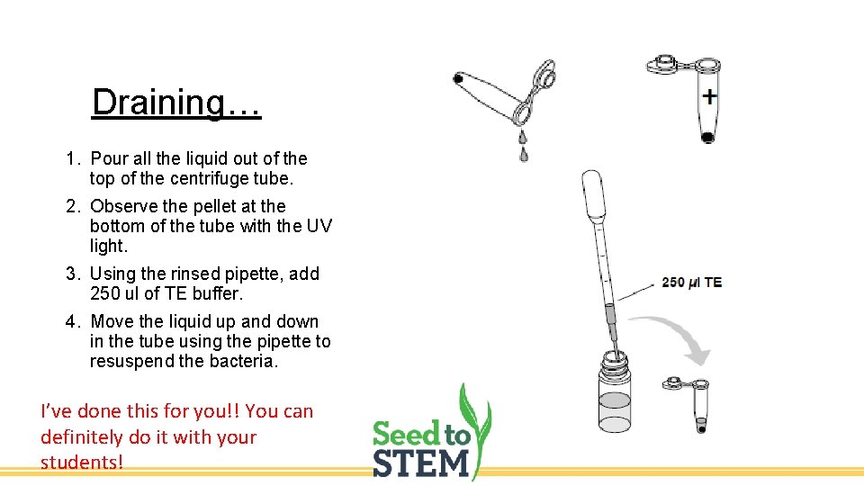 Draining… 1. Pour all the liquid out of the top of the centrifuge tube.