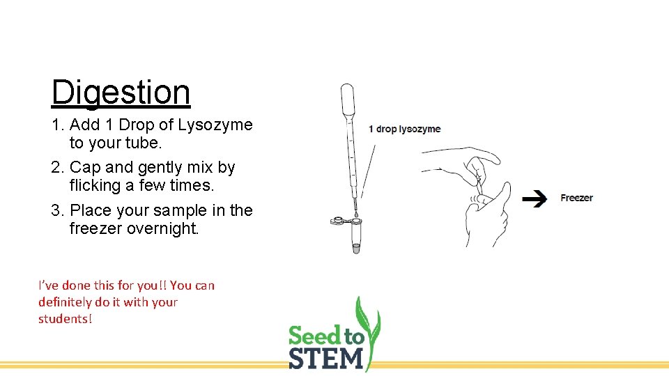 Digestion 1. Add 1 Drop of Lysozyme to your tube. 2. Cap and gently