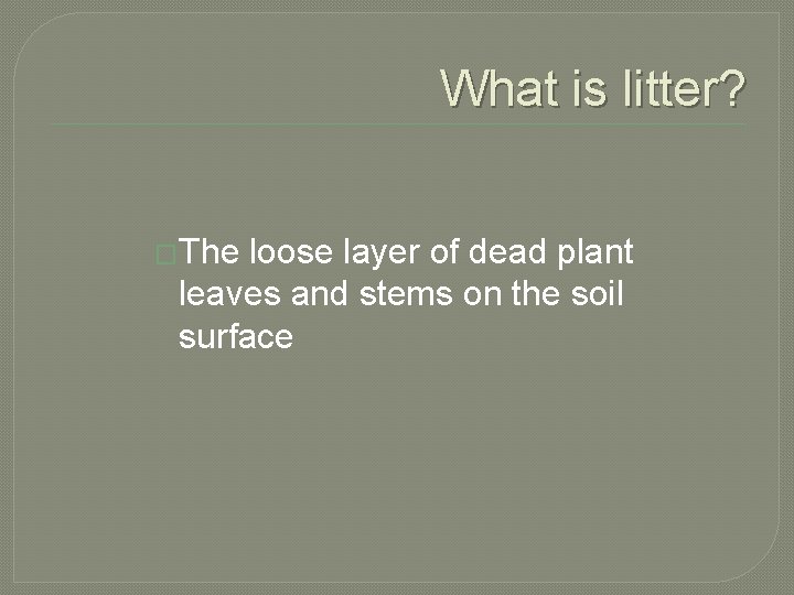 What is litter? �The loose layer of dead plant leaves and stems on the