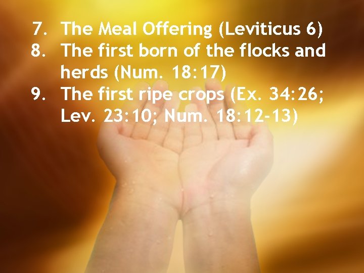 7. The Meal Offering (Leviticus 6) 8. The first born of the flocks and