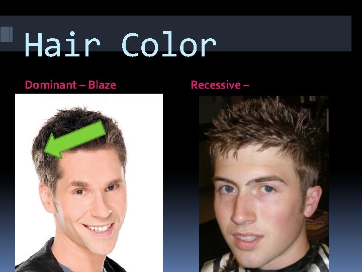 Hair Color Dominant – Blaze Recessive – 