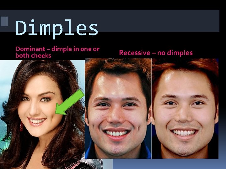 Dimples Dominant – dimple in one or both cheeks Recessive – no dimples 