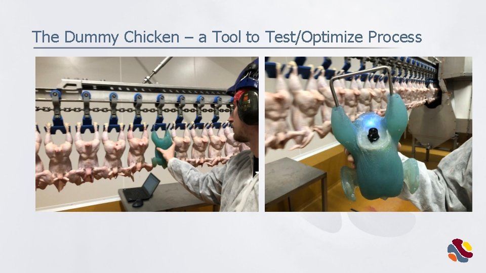 The Dummy Chicken – a Tool to Test/Optimize Process 