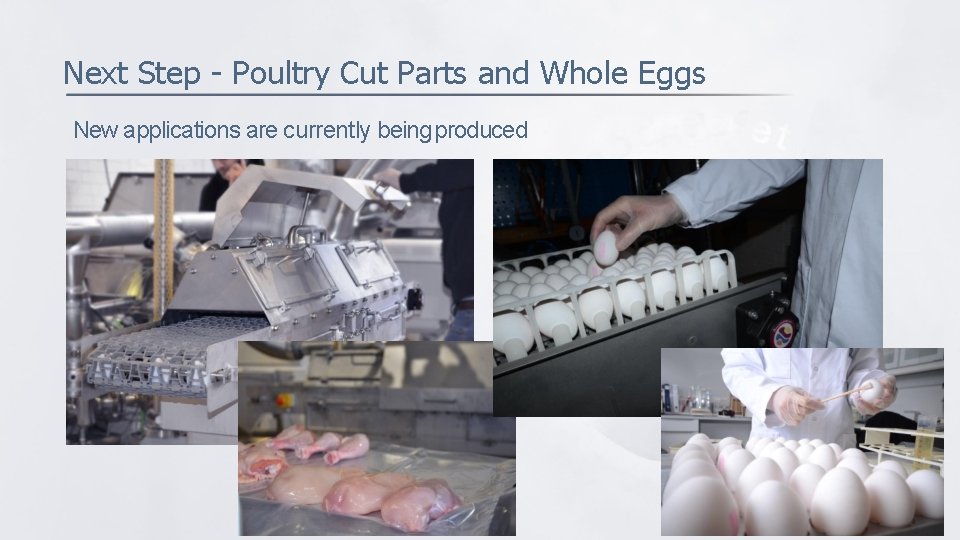 Next Step - Poultry Cut Parts and Whole Eggs New applications are currently being