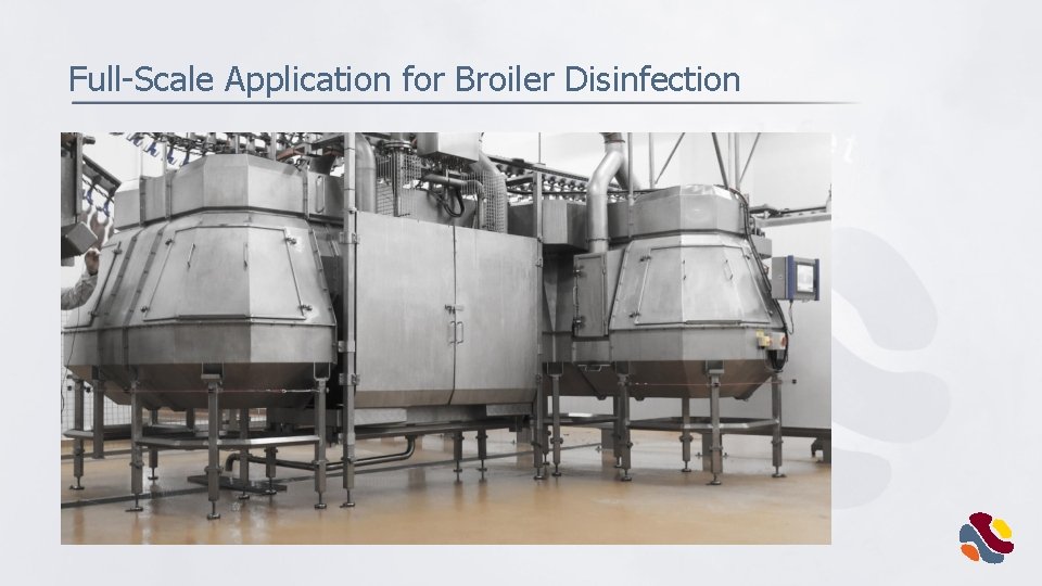 Full-Scale Application for Broiler Disinfection 