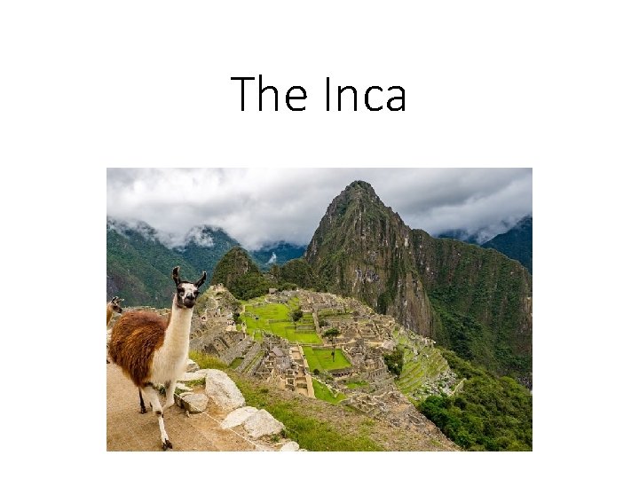 The Inca 