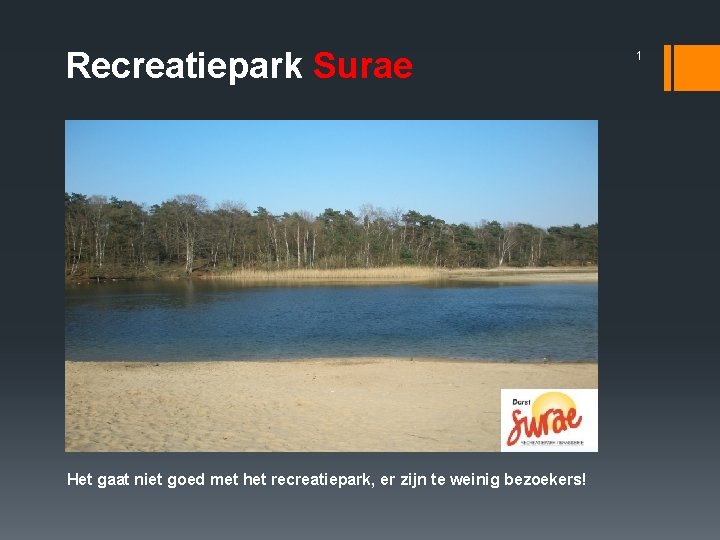 Recreatiepark Surae Het gaat niet goed met het recreatiepark, er zijn te weinig bezoekers!