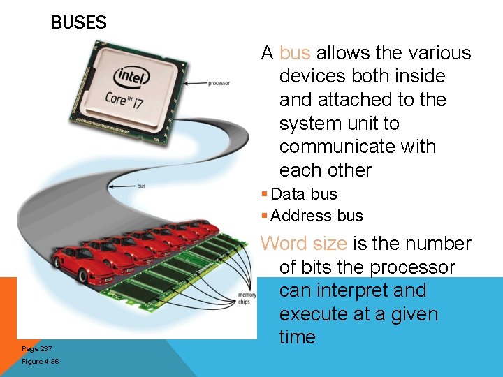 BUSES A bus allows the various devices both inside and attached to the system BUSES A bus allows the various devices both inside and attached to the system