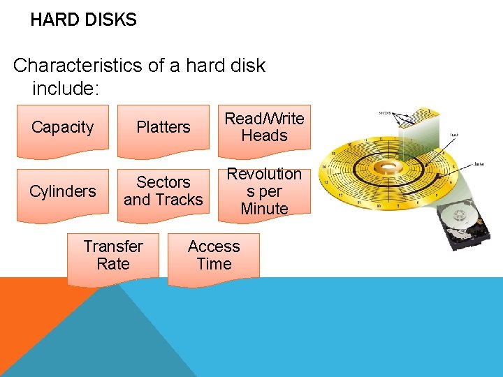 HARD DISKS Characteristics of a hard disk include: Capacity Platters Read/Write Heads Cylinders Sectors HARD DISKS Characteristics of a hard disk include: Capacity Platters Read/Write Heads Cylinders Sectors