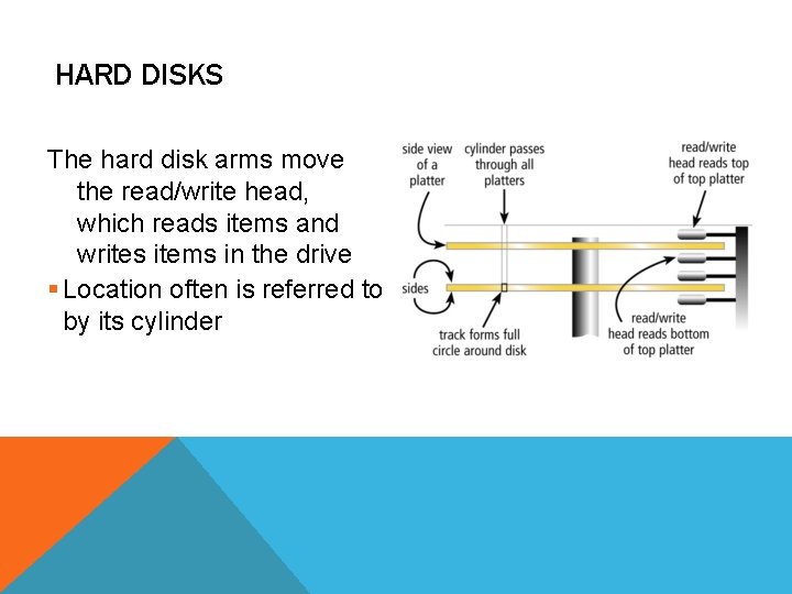 HARD DISKS The hard disk arms move the read/write head, which reads items and HARD DISKS The hard disk arms move the read/write head, which reads items and