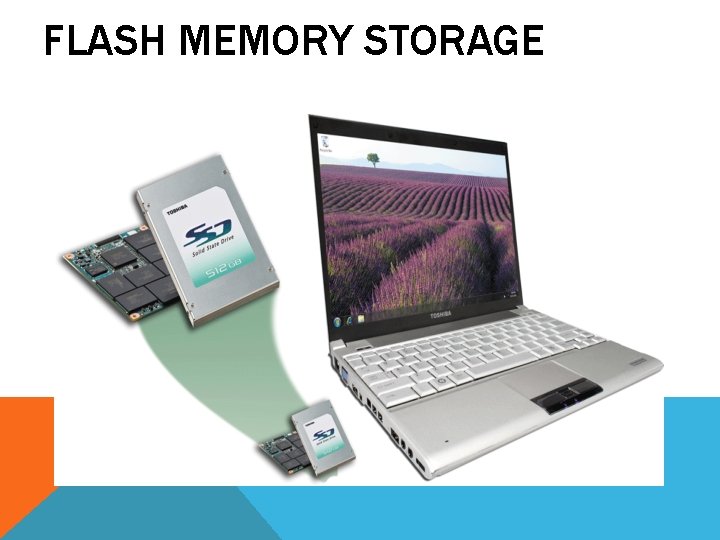 FLASH MEMORY STORAGE FLASH MEMORY STORAGE