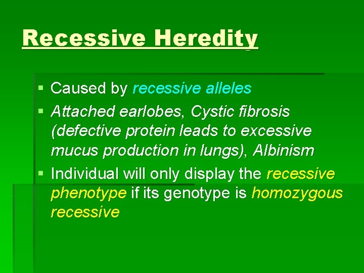 Recessive Heredity § Caused by recessive alleles § Attached earlobes, Cystic fibrosis (defective protein