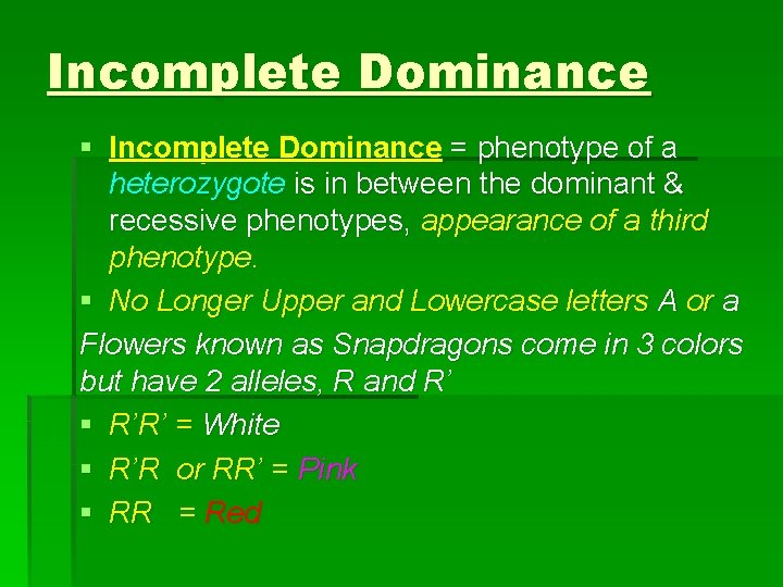 Incomplete Dominance § Incomplete Dominance = phenotype of a heterozygote is in between the