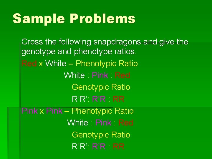 Sample Problems Cross the following snapdragons and give the genotype and phenotype ratios. Red