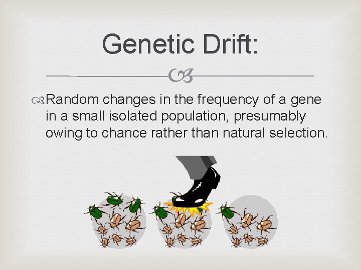 Genetic Drift: Random changes in the frequency of a gene in a small isolated Genetic Drift: Random changes in the frequency of a gene in a small isolated