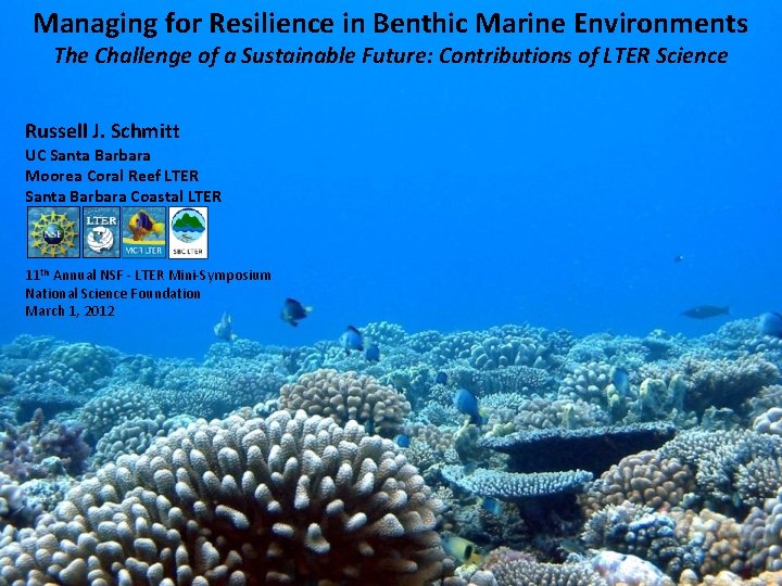 Managing for Resilience in Benthic Marine Environments The Challenge of a Sustainable Future: Contributions