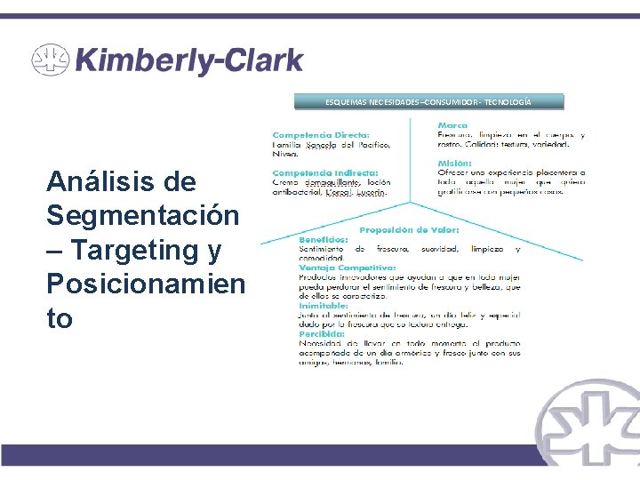 ESQUEMAS NECESIDADES –CONSUMIDOR - TECNOLOGÍA Análisis de Segmentación – Targeting y Posicionamien to 