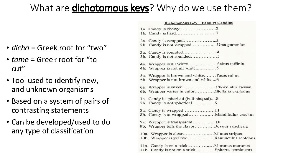 What are dichotomous keys? Why do we use them? • dicho = Greek root