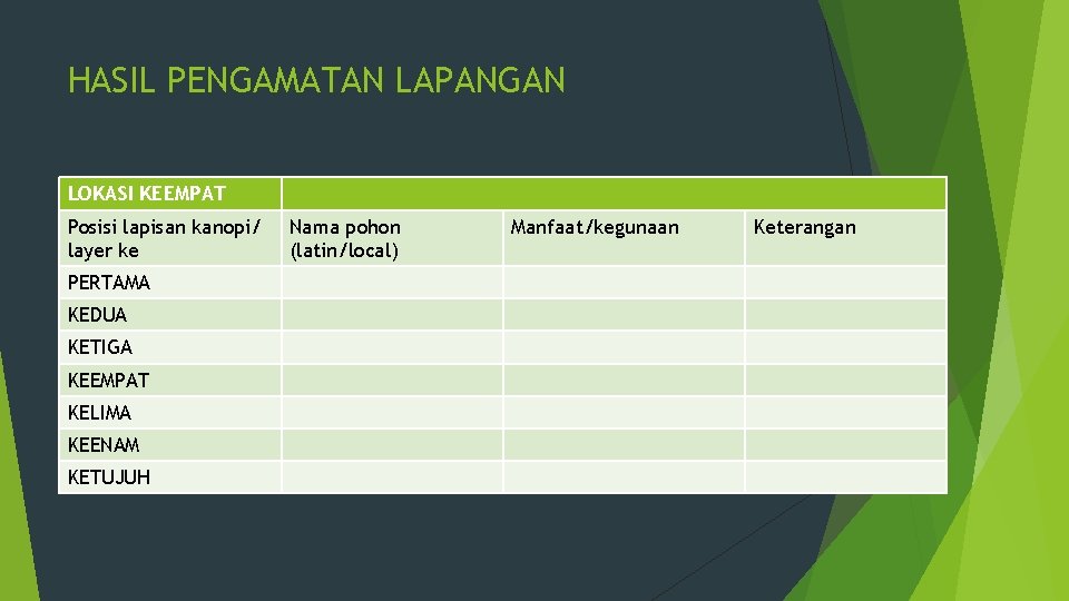 HASIL PENGAMATAN LAPANGAN LOKASI KEEMPAT Posisi lapisan kanopi/ layer ke PERTAMA KEDUA KETIGA KEEMPAT