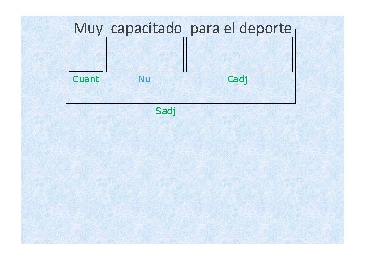 Muy capacitado para el deporte Cuant Nu Cadj Sadj 