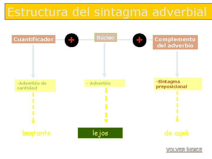 Estructura del sintagma adverbial Cuantificador -Adverbio de cantidad bastante muy + Núcleo - Adverbio