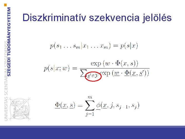 Diszkriminatív szekvencia jelölés 