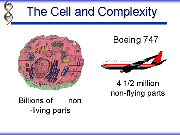 The Cell and Complexity Boeing 747 Billions of non -living parts 4 1/2 million