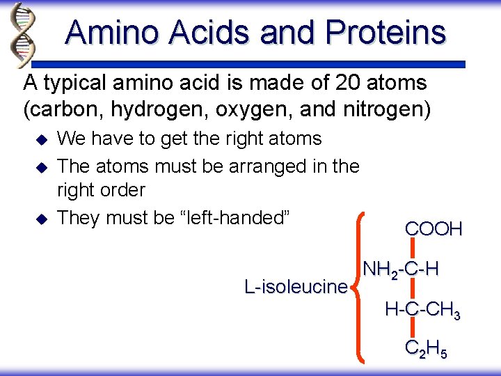 Amino Acids and Proteins A typical amino acid is made of 20 atoms (carbon,