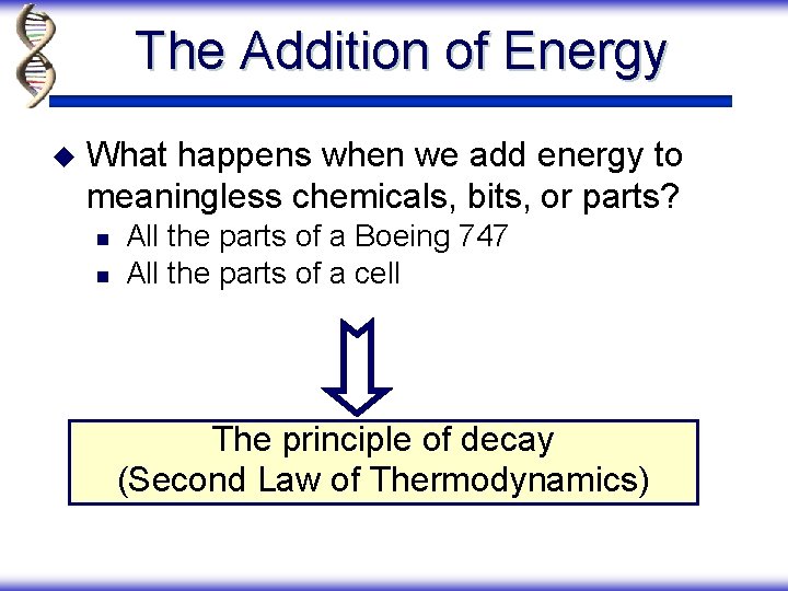 The Addition of Energy u What happens when we add energy to meaningless chemicals,