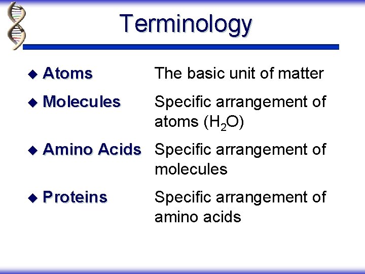 Terminology u Atoms The basic unit of matter u Molecules Specific arrangement of atoms