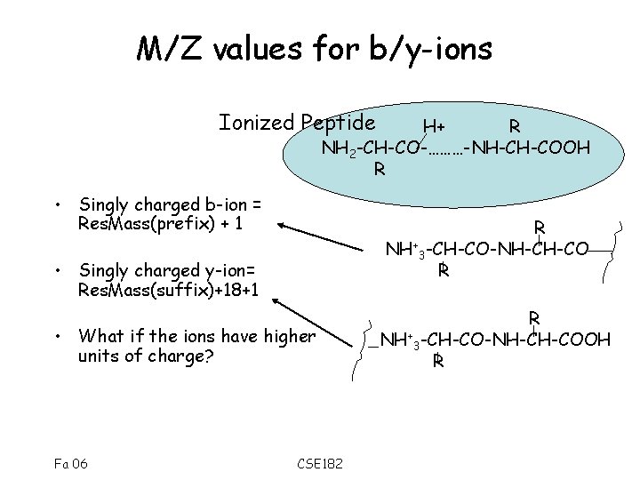 M/Z values for b/y-ions Ionized Peptide H+ R NH 2 -CH-CO-………-NH-CH-COOH R • Singly