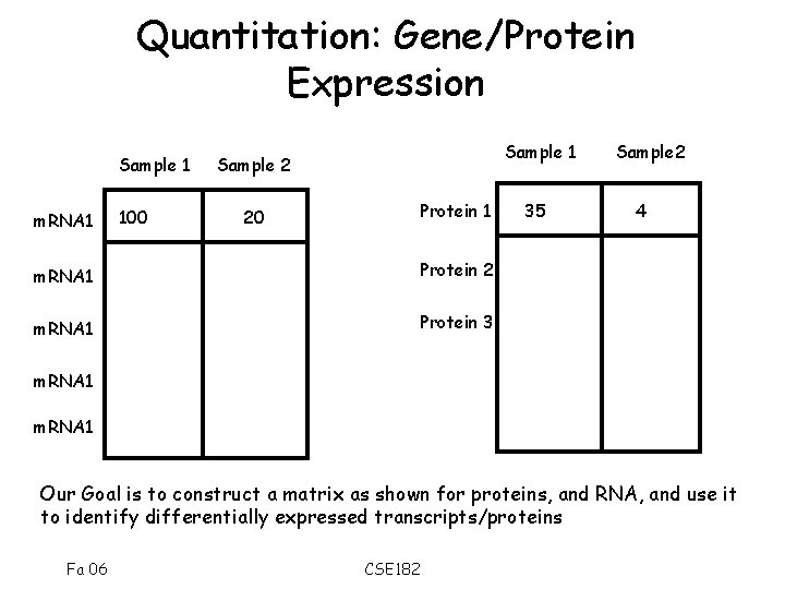 Quantitation: Gene/Protein Expression Sample 1 m. RNA 1 100 Sample 1 Sample 2 Protein