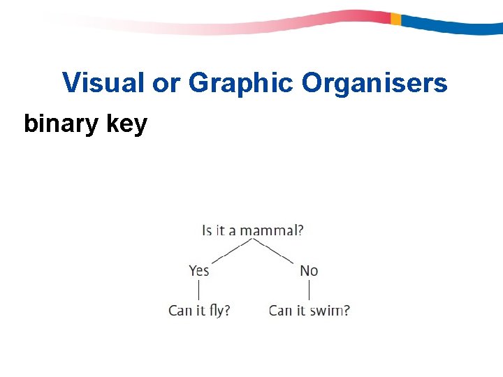 Visual or Graphic Organisers binary key Visual or Graphic Organisers binary key