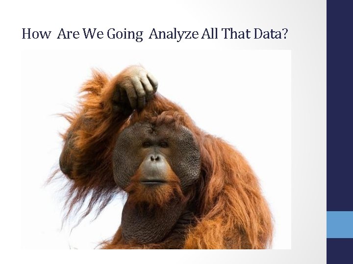 How Are We Going Analyze All That Data? 