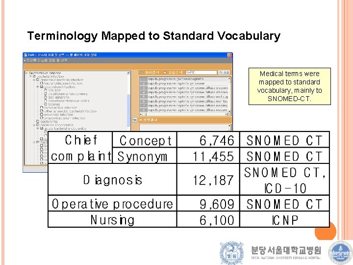 Terminology Mapped to Standard Vocabulary Medical terms were mapped to standard vocabulary, mainly to