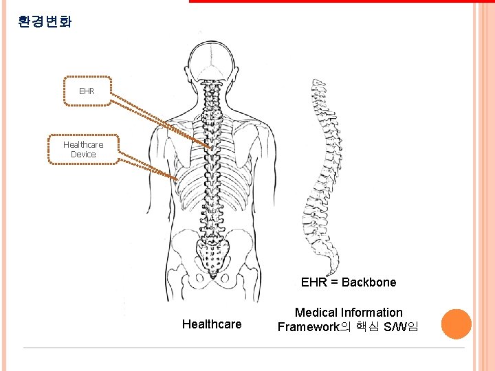 환경변화 EHR Healthcare Device EHR = Backbone Healthcare Medical Information Framework의 핵심 S/W임 