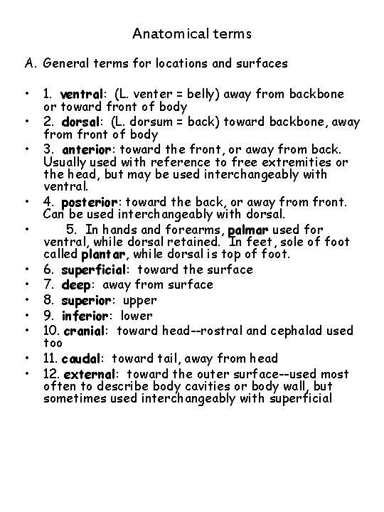Anatomical terms A. General terms for locations and surfaces • • • 1. ventral: