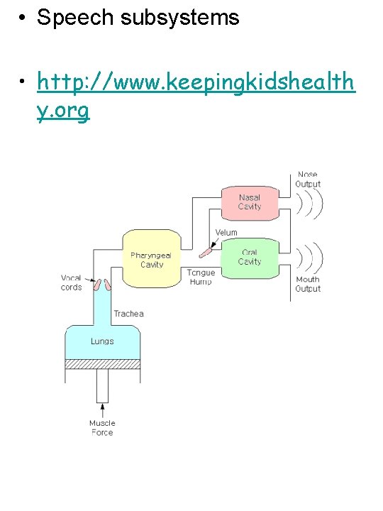  • Speech subsystems • http: //www. keepingkidshealth y. org 