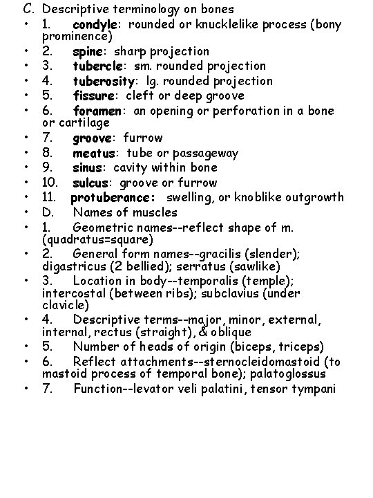 C. Descriptive terminology on bones • • • • • 1. condyle: rounded or