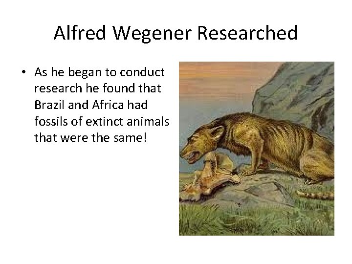 Alfred Wegener Researched • As he began to conduct research he found that Brazil